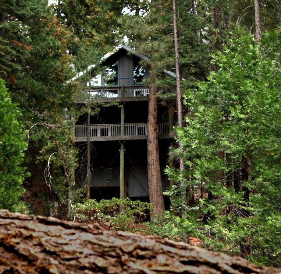 Tree House Lodge Йосеміті-Вест Екстер'єр фото